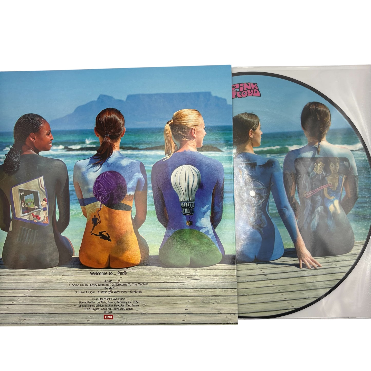Pink Floyd - Welcome To Paris (Limited Edition 12" Picture Disc)