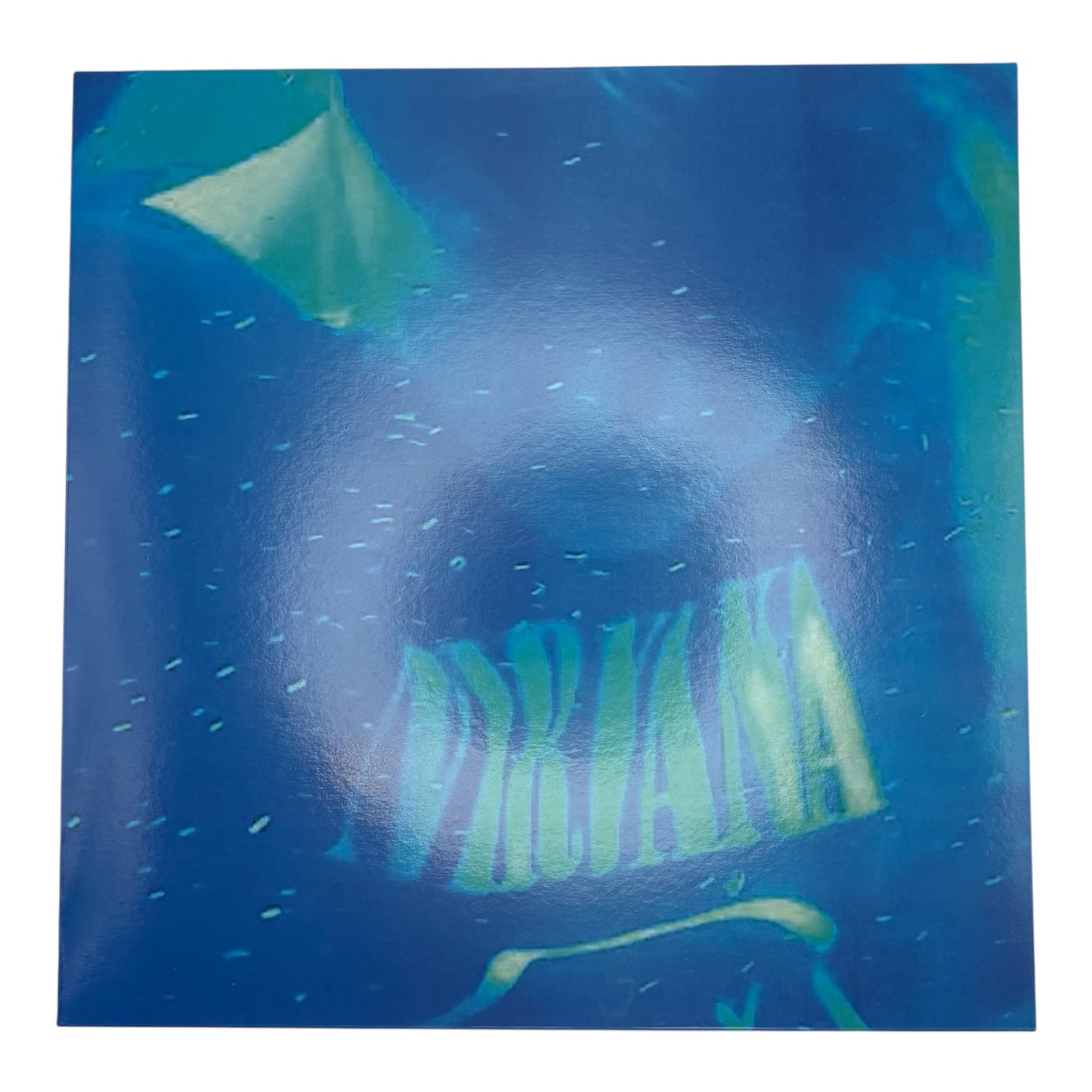 Nirvana - Nevermind Live (Limited Edition 12" Picture Disc)