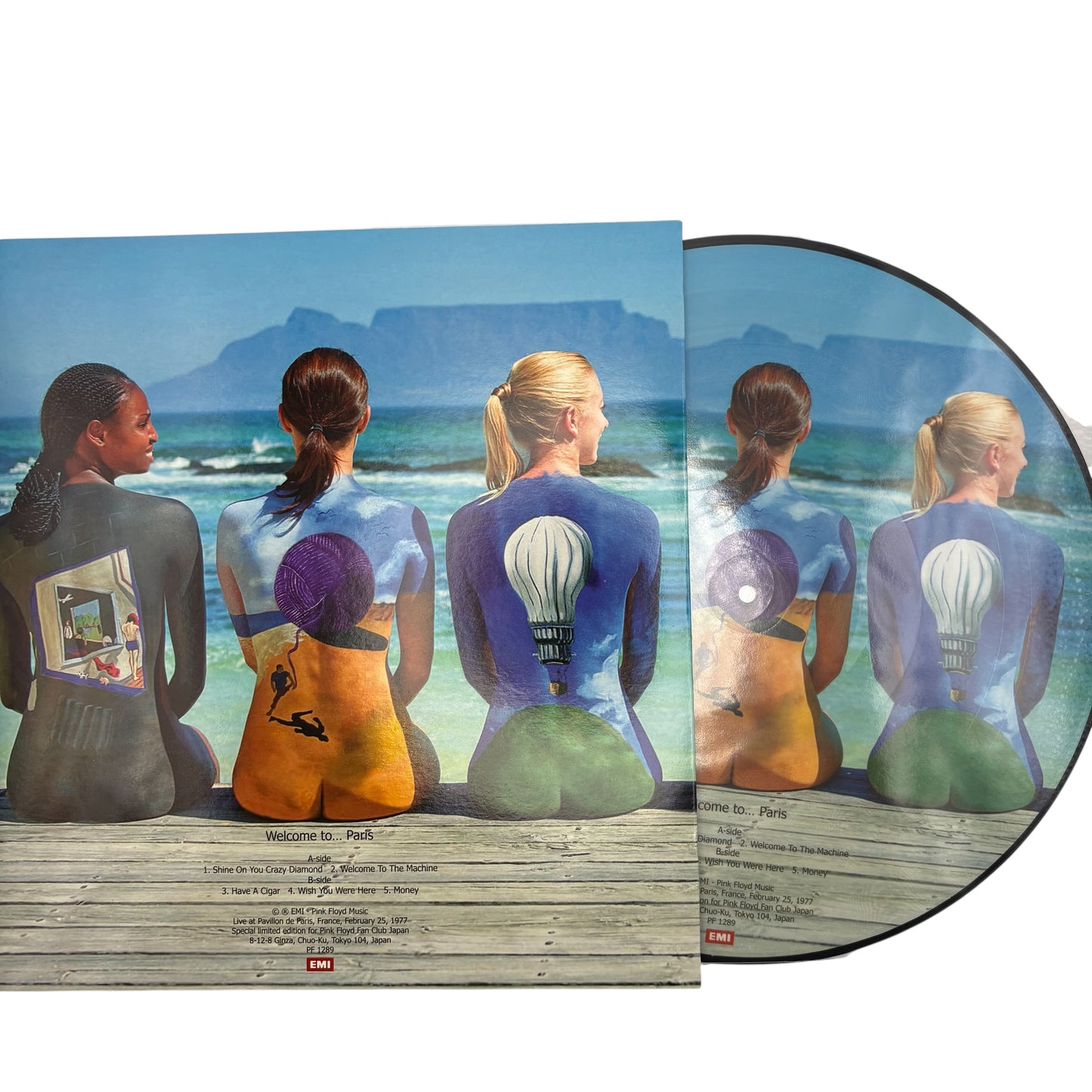 Pink Floyd - Welcome To Paris (Limited Edition 12" Picture Disc)