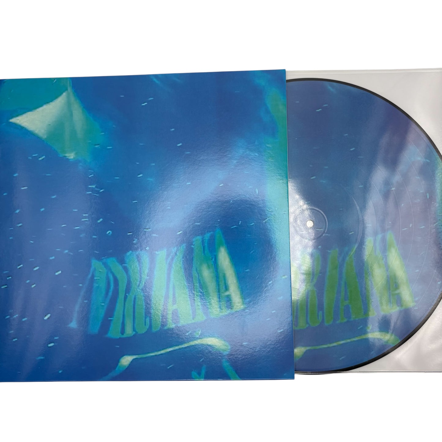 Nirvana - Nevermind Live (Limited Edition 12" Picture Disc)