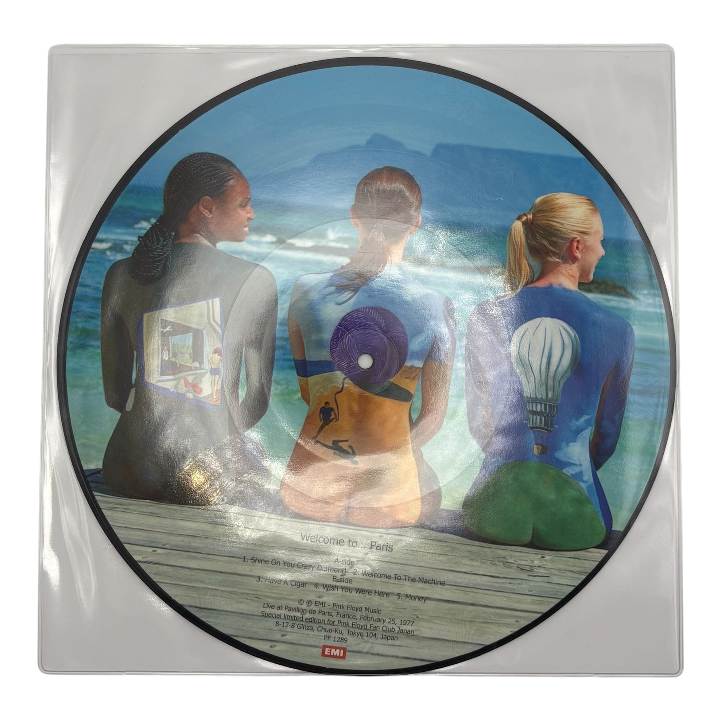 Pink Floyd - Welcome To Paris (Limited Edition 12" Picture Disc)